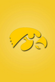 Iowa Hawkeyes