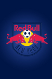 Red Bull New Y...