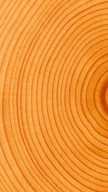 Circular