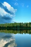 Nature Reflect...