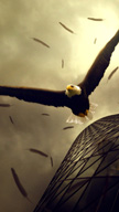 Eagle Flight