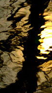 Water Reflecti...