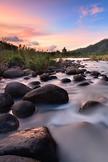 Tranquility Fl...