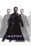 Matrix iPhone Wallpaper