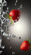 Water Strawber...