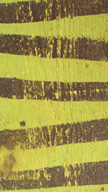 Brown Stripes