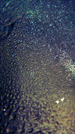 Water Drops