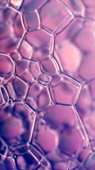 Pink Bubbles