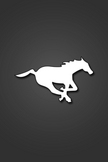 Calgary Stampe...