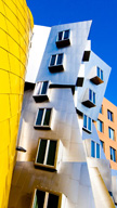 Frank Gehry