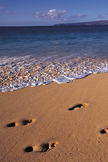 Beach Footprin...