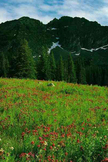 Mountain View iPhone Wallpaper