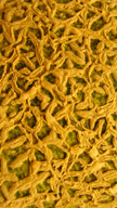 Yellow Mesh