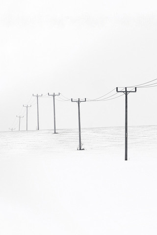 Telegraph Poles