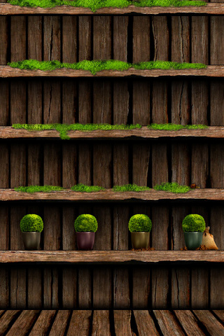 Garden Shelf