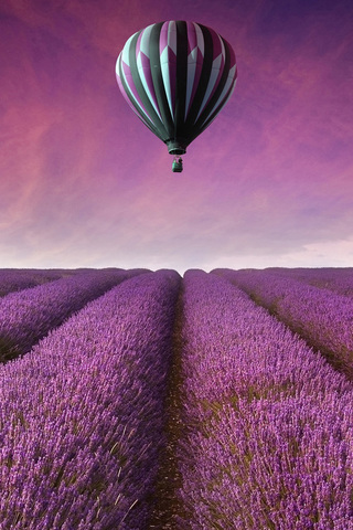 Hot Air Balloon