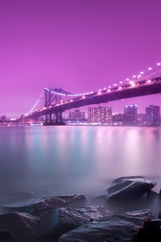 Purple Night