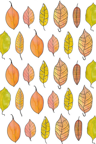 Autumn Pattern