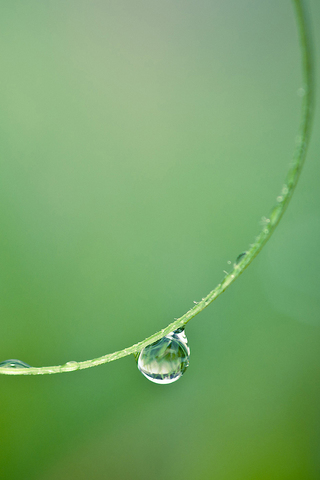 Droplet