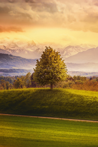 Switzerland Mountains