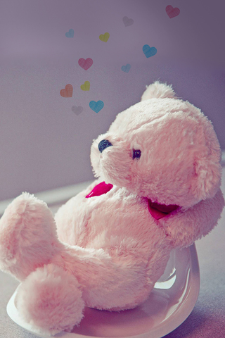 Pink Teddy