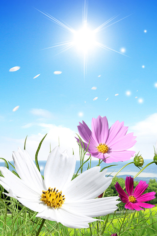 Spring Background