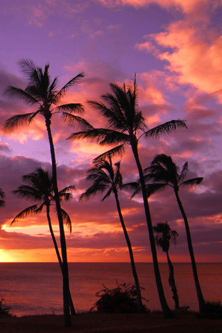 Hawaii Sunset