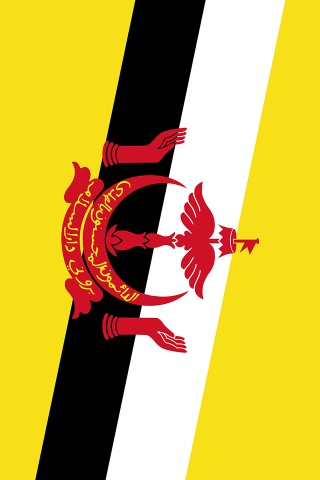 Brunei Flag