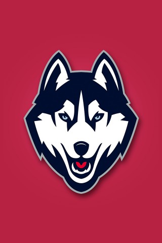 Connecticut Huskies  