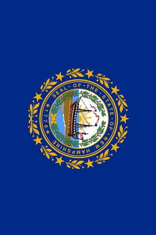 New Hampshire Flag