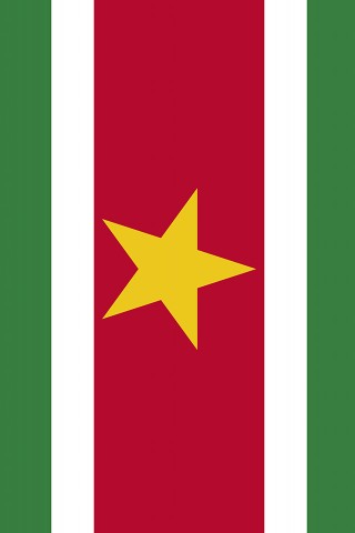 Suriname Flag