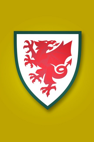 Wales National Football