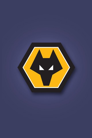 Wolverhampton Wanderers 