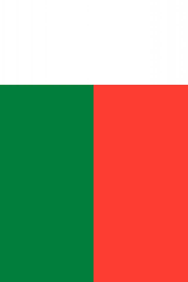 Madagascar Flag Wallpaper