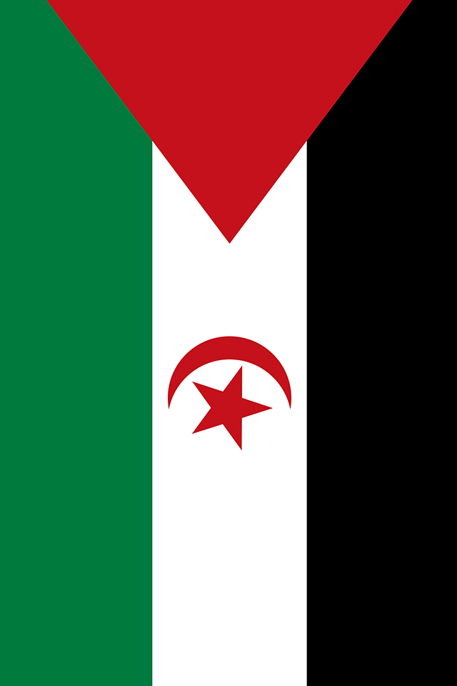 Sahrawi Arab Democratic Republic Flag Wallpaper