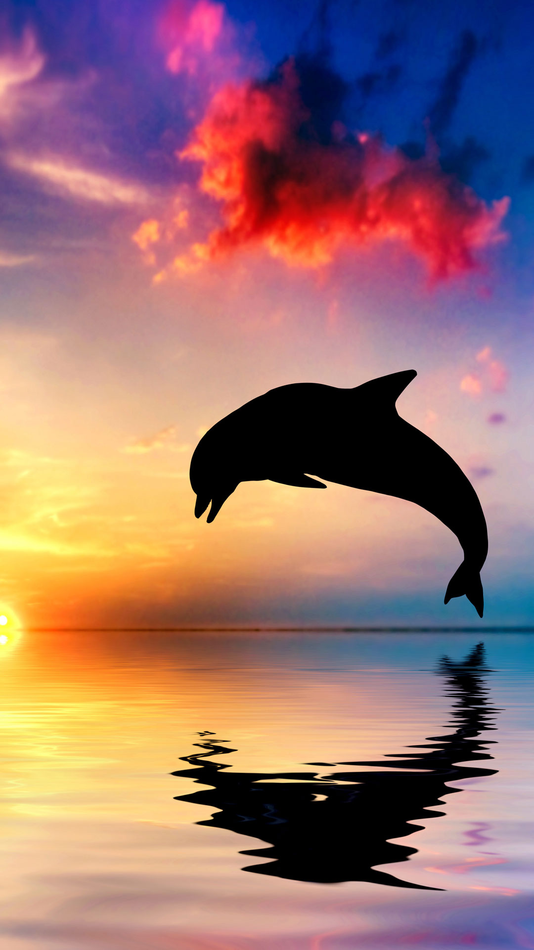 Dolphin Jump iPhone Wallpaper.