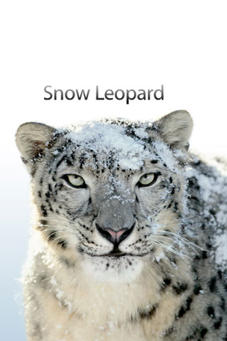 Snow Leopard