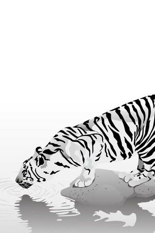 Tiger BW