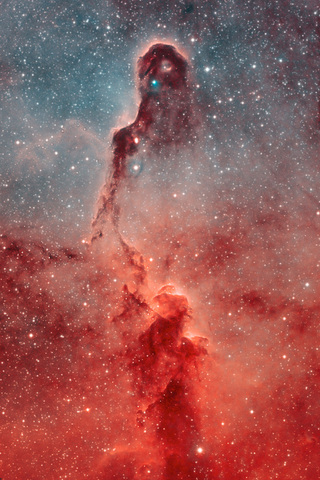 Elephant Trunk Nebula