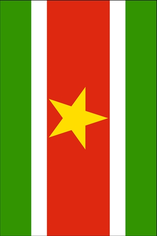 Suriname Flag