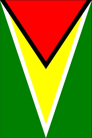 Guyana Flag