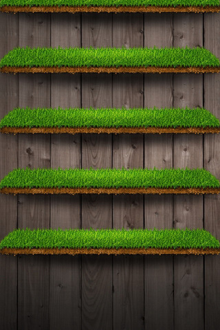 Grassy Shelf