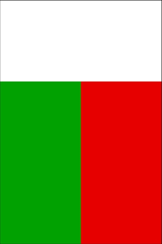 Madagascar Flag