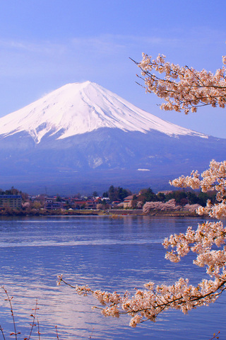 Mt Fuji