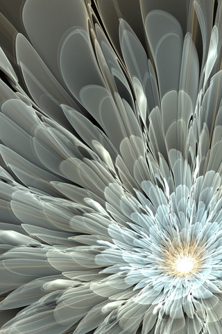 Fractal Flower