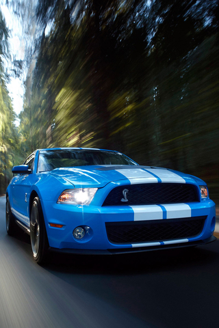 Ford Shelby