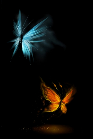 Butterflies