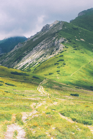 Hiking Trail