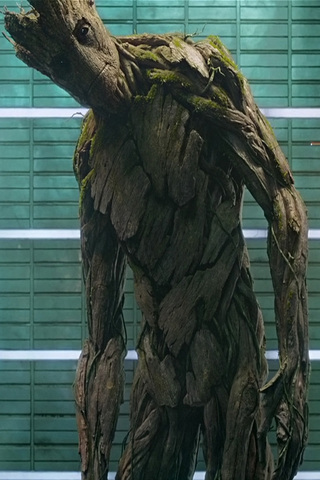 Groot