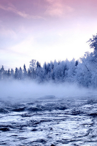 Frozen Landscape